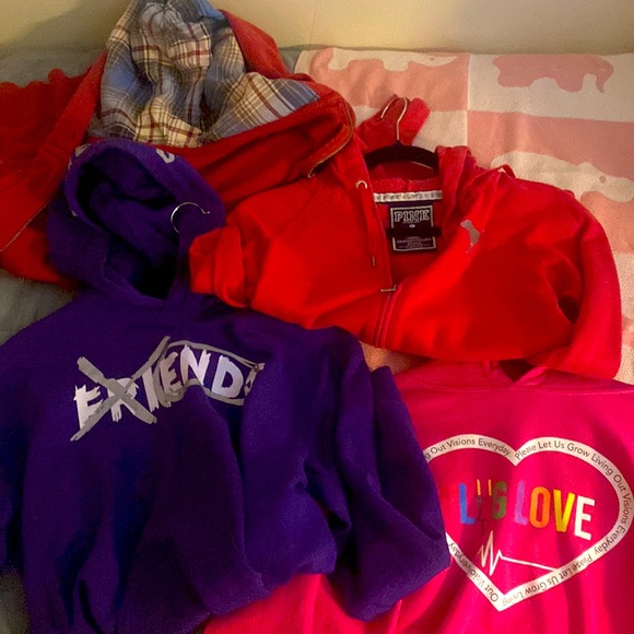 Limited time offer Grab bag of 4 brand name hoodies! PINK, Polo & Gildan - Picture 1 of 1